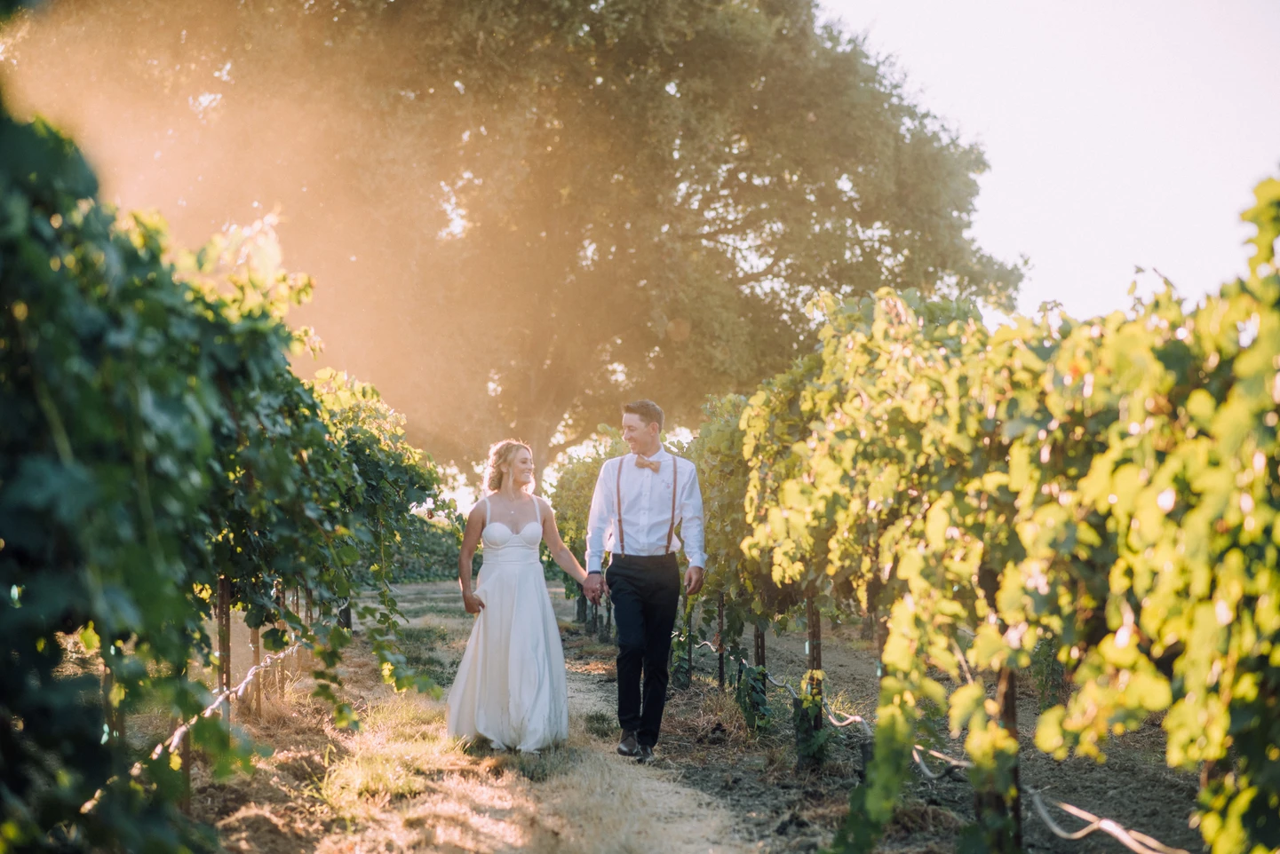 Discover Premium Tastings at a Clarksburg Winery Tasting Room