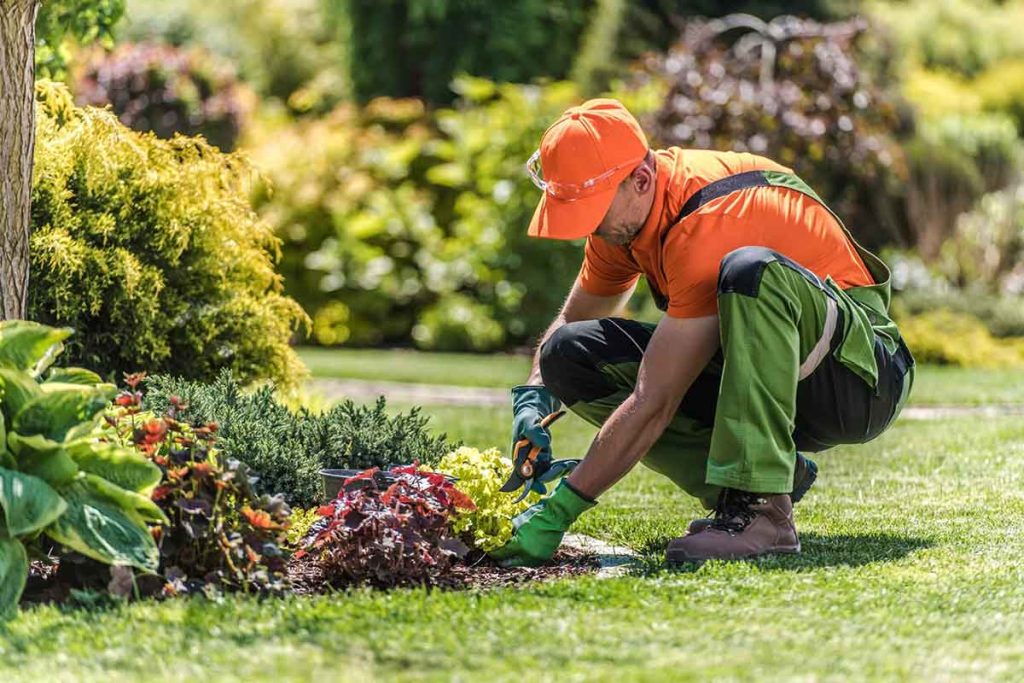 Brisbane Lawn Mowing Services with Fast Online Quotes