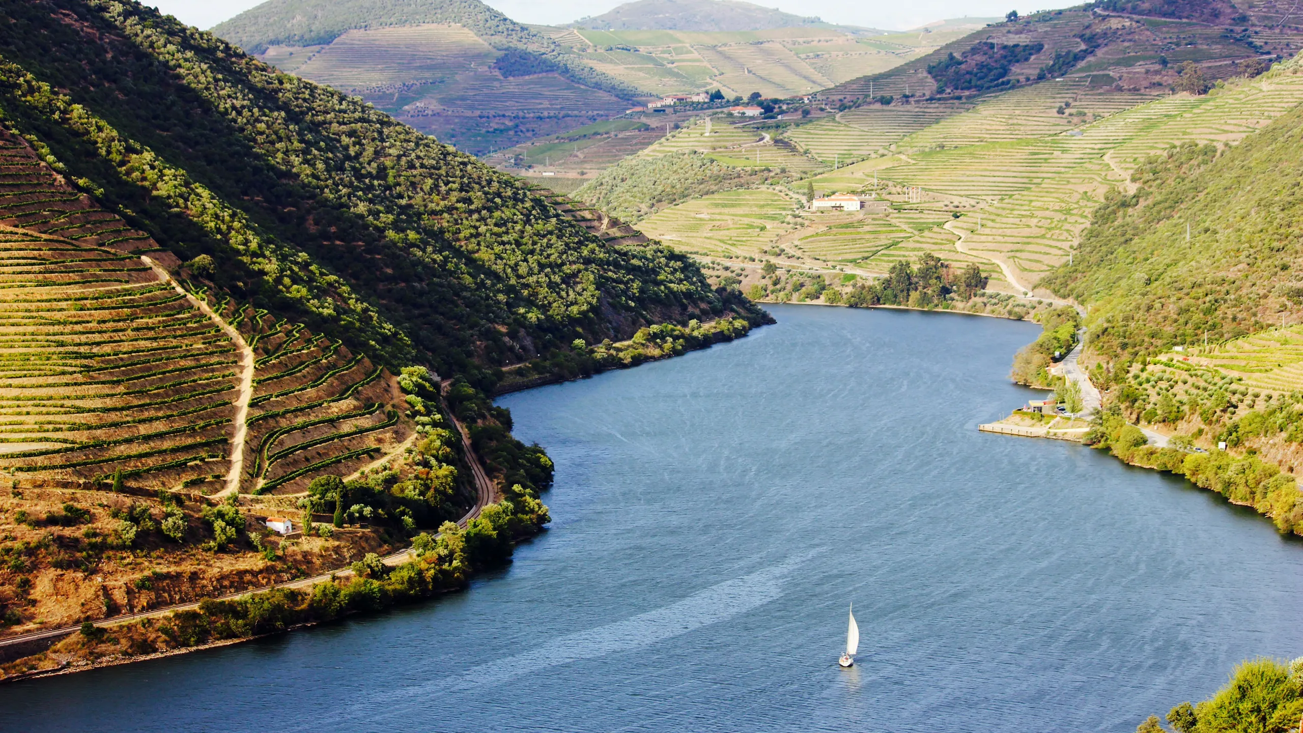 Six Senses Douro Valley Review (2026): Worth the Luxury Hype?